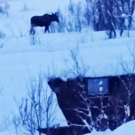 5 Person In Straumsbukta Holiday home Bakke