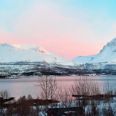 5 Person In Straumsbukta *