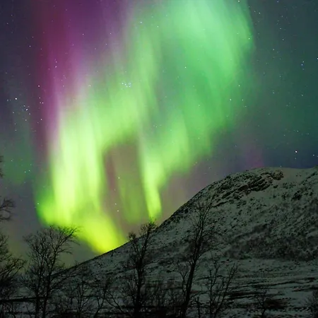 5 Person In Straumsbukta-by Traum Holiday home *