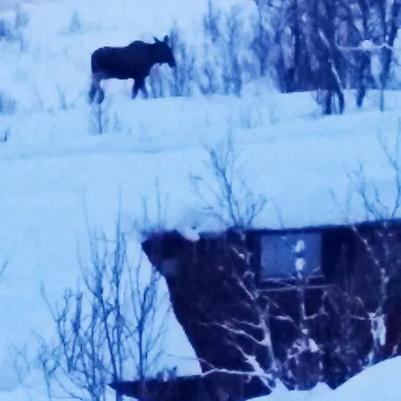 Nyaraló 5 Person In Straumsbukta