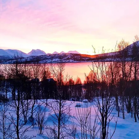 5 Person In Straumsbukta
