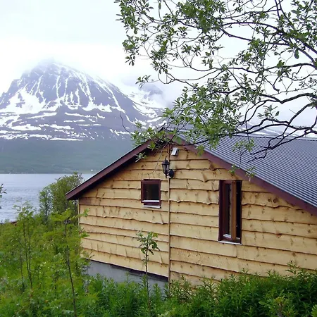 5 Person In Straumsbukta * Bakke