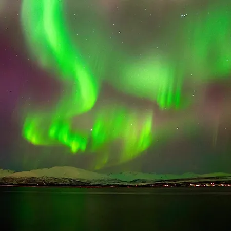 5 Person In Straumsbukta *