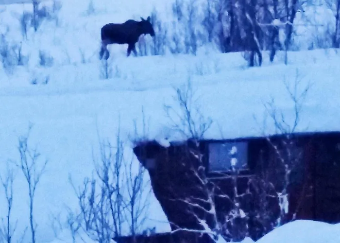 بيت للعطل 5 Person In Straumsbukta-by Traum